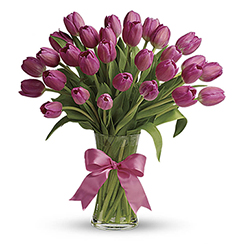 Bó hoa tulips đẹp HB642