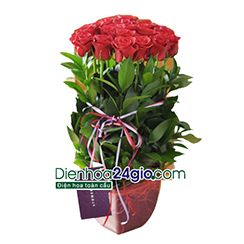 Giỏ hoa tình yêu