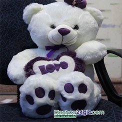 Qu&Atilde;&nbsp; sinh nh&aacute;&ordm;&shy;t, G&aacute;&ordm;&yen;u &Auml;&aacute;&ordm;&sup1;p, g&aacute;&ordm;&yen;u to