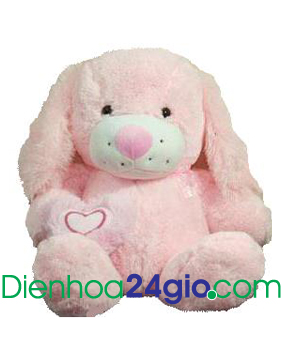 Chocolate Hampers, hoa gau bong | send teddy bear