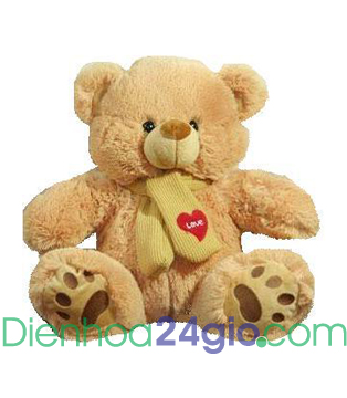 gấu bông đẹp, send teddy bear