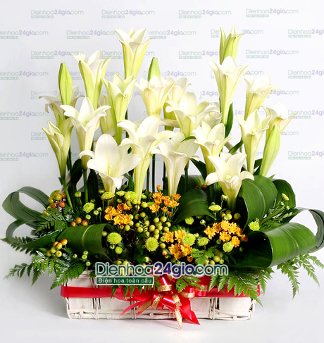 Giỏ hoa loa kèn G203