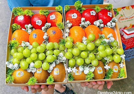 Giỏ hoa quả HQ100