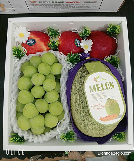 Giỏ hoa quả HQ92