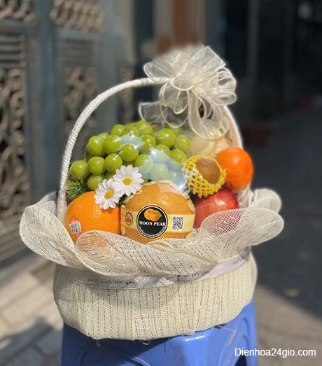 Giỏ hoa quả HQ93