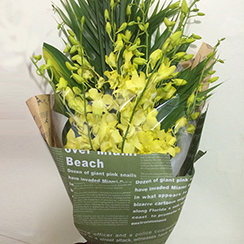 Bó hoa giá rẻ tặng đại biểu