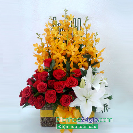 Hoa hồng đỏ