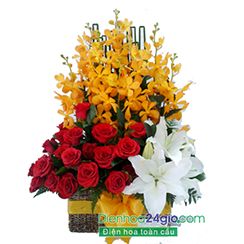 Hoa hồng đỏ