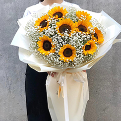 Bó hoa hướng dương HB666