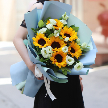 Bó hoa hướng dương HB667