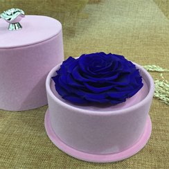 Hoa tươi vĩnh cửu VC04