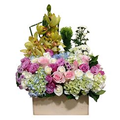 Giỏ hoa địa lan G132