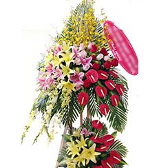 Lang hoa khai truong KT99