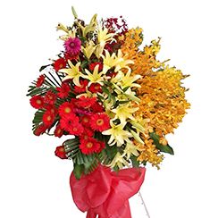 Mẫu hoa khai trương đẹp KT124