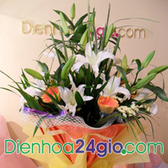 Dien hoa Sai Gon, Quatang, Quà tặng, qua tang