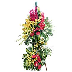 Lẵng hoa khai trương đẹp KT120