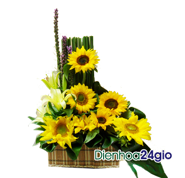 Giỏ hoa hướng dương