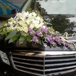 Xe hoa cưới 15