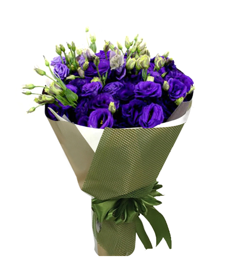 Hoa cát tường, hoa lan tường HB355