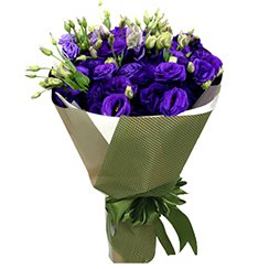 Hoa cát tường, hoa lan tường HB355