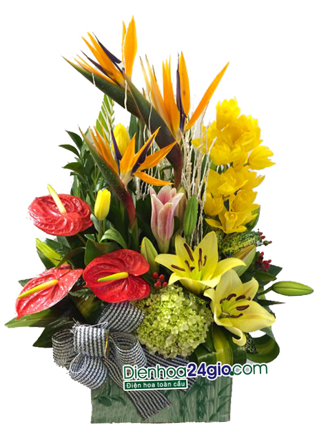 Giỏ hoa chúc mừng