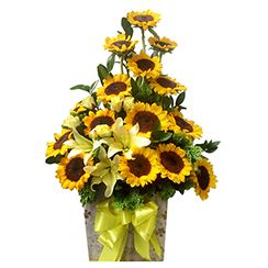 dien hoa ha noi G401