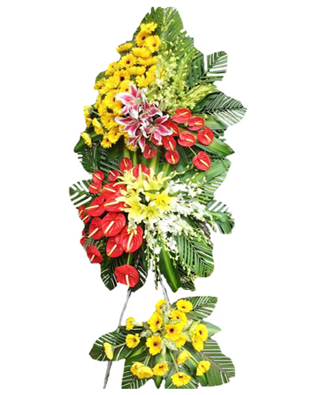  điện hoa hà nội KT102