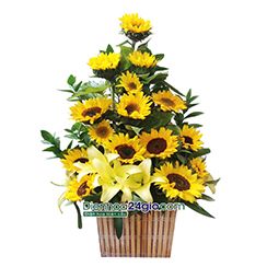 Giỏ hoa hướng dương G72
