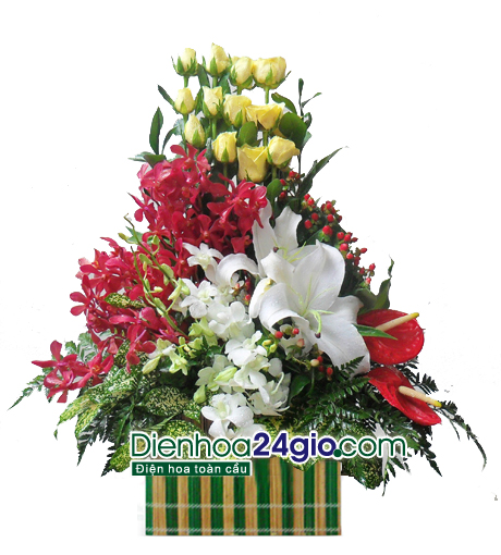 Giỏ hoa chúc mừng G55