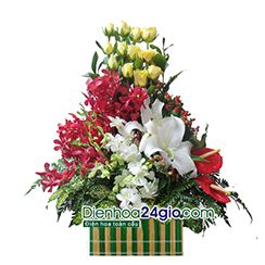 Giỏ hoa chúc mừng G55