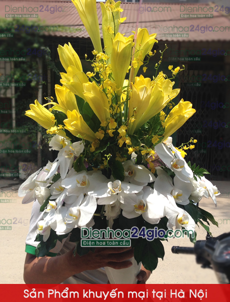Bình hoa tặng lãnh đạo, cấp trên SNM162