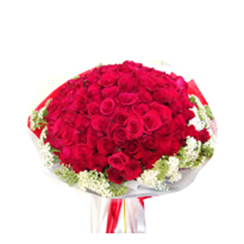 Bó hồng tình yêu SNM156