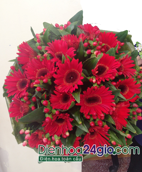 Bó hoa đồng tiền