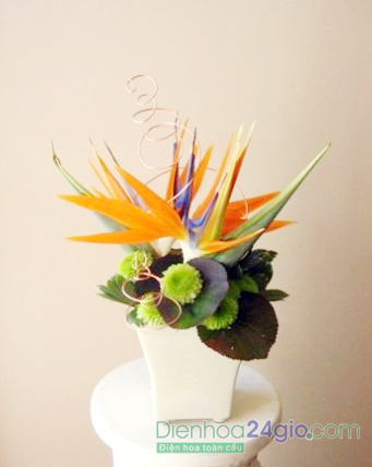 Hoa để bàn đẹp 