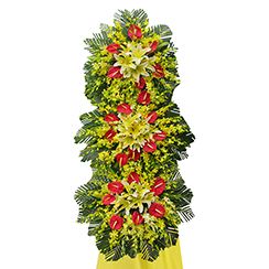 Hoa mừng khai trương kt109