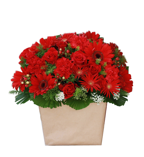 hoa sinh nhật đẹp G322