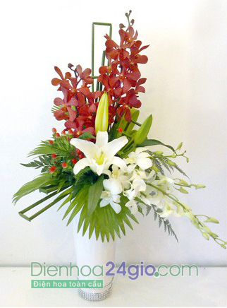 Hoa định kỳ hà nội