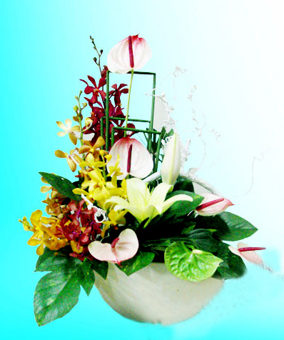 Hoa định kỳ hà nội 1