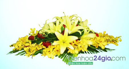 Hoa định kỳ hà nội 2