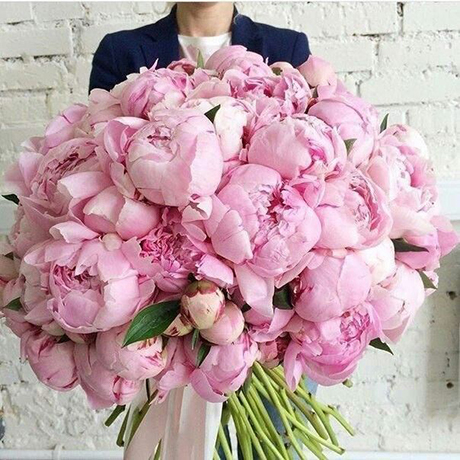 Bó hoa mẫu đơn HB707