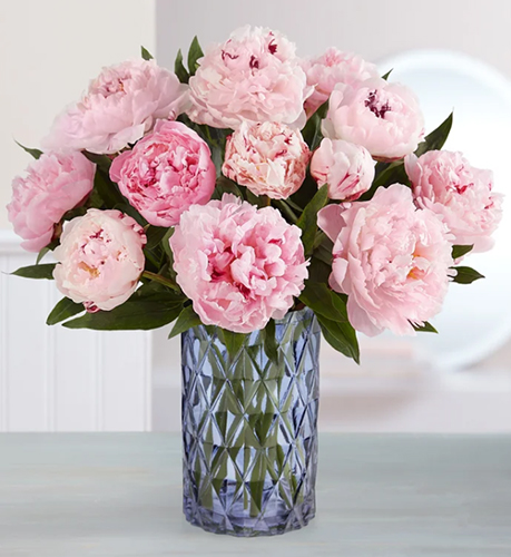 Bó hoa mẫu đơn HB717