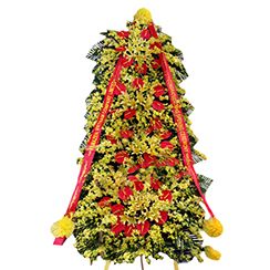 lẵng hoa khai trương kiểu hàn quốc KT95