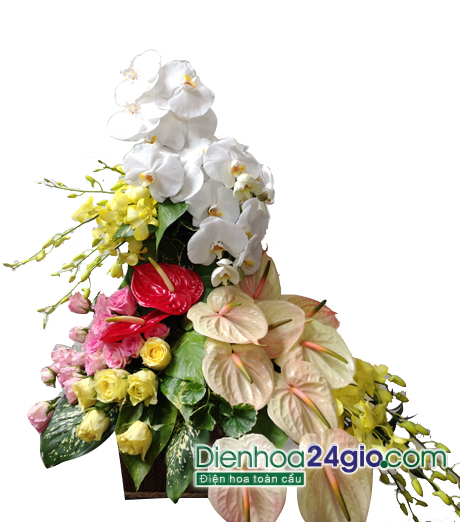 Giỏ hoa tặng sinh nhật G57