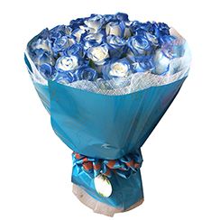 Bó Hoa sinh nhật HB345