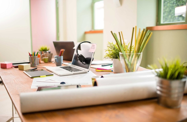 Cây xanh giúp tăng năng suất làm việc, giảm căng thẳng