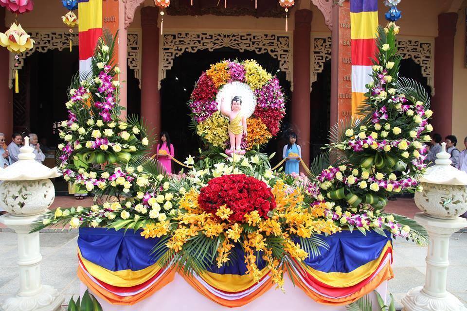 Chọn hoa tươi khi cắm