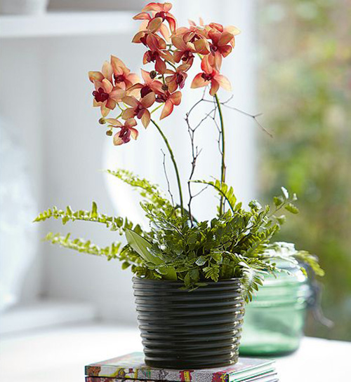 hoa tươi đẹp gi&uacute;p trang tr&iacute; khung cửa sổ th&ecirc;m bắt mắt