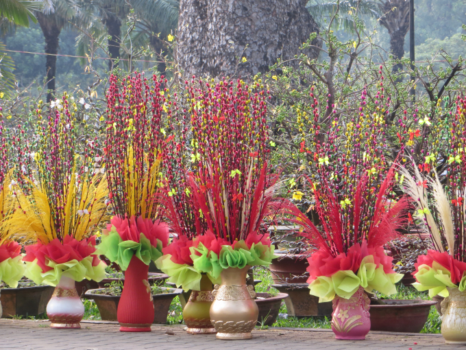 Nụ tầm xu&acirc;n ng&agrave;y tết