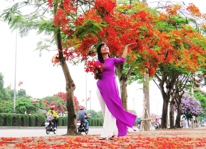 hoa phượng đ&oacute; v&agrave; những người con hiếu thảo