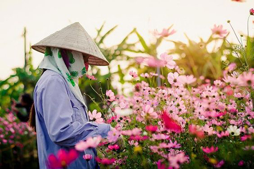 Phong cách phục vụ khách hàng